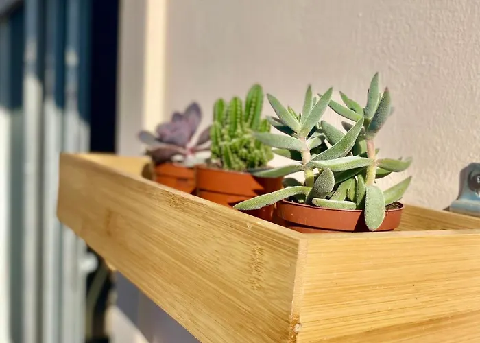 Amalizen, Steps From The Sea * Chania (Crete)