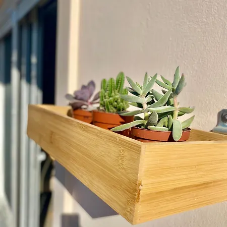 Amalizen, Steps From The Sea * Chania (Crete)